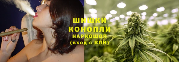 ПСИЛОЦИБИНОВЫЕ ГРИБЫ Гусев