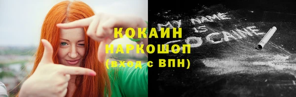 ПСИЛОЦИБИНОВЫЕ ГРИБЫ Гусев