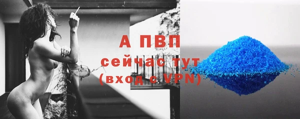 ПСИЛОЦИБИНОВЫЕ ГРИБЫ Гусев