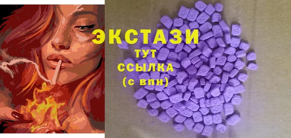ПСИЛОЦИБИНОВЫЕ ГРИБЫ Гусев
