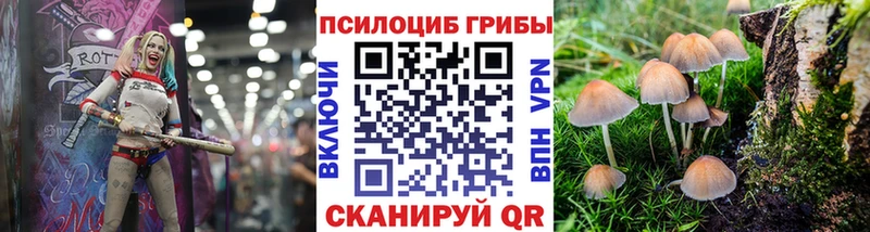 Галлюциногенные грибы Magic Shrooms  Купить где  Бердск 